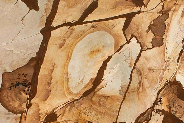 Stone Wood Granite